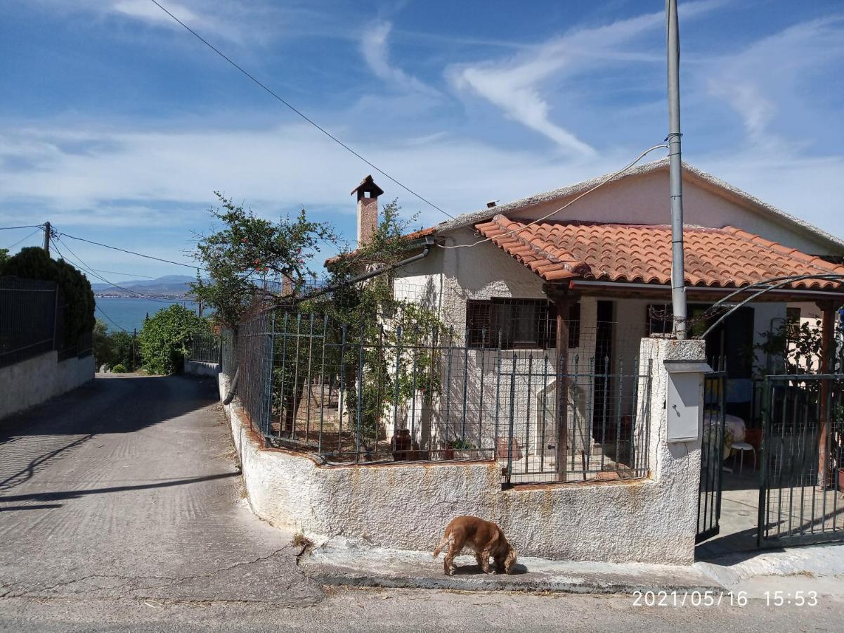 Sea View Dilesi Villa Dhilesi Luaran gambar